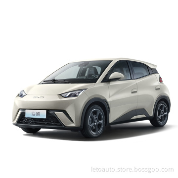 Byd Small Cars Electric Small Car of Electricity Small and Cheap Electric Vars